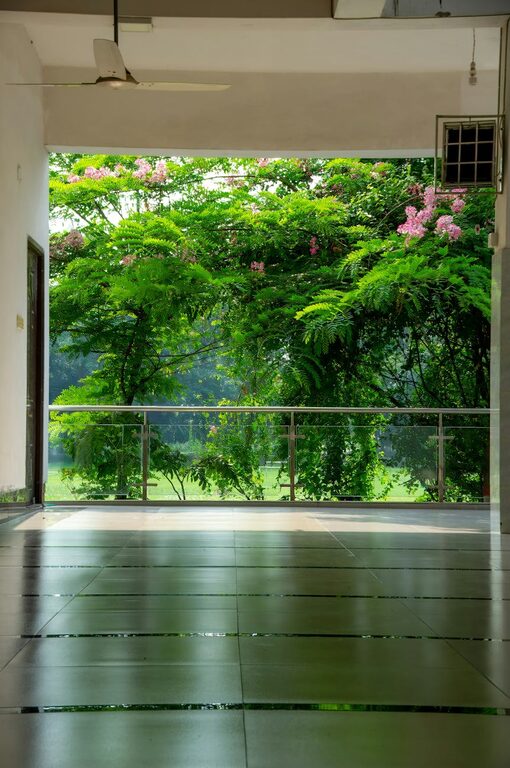 How to Start a Small Herb Garden Indoors: A Beginner’s Guide